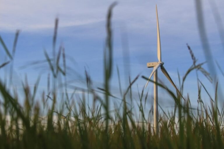 advanced digital growth solutions